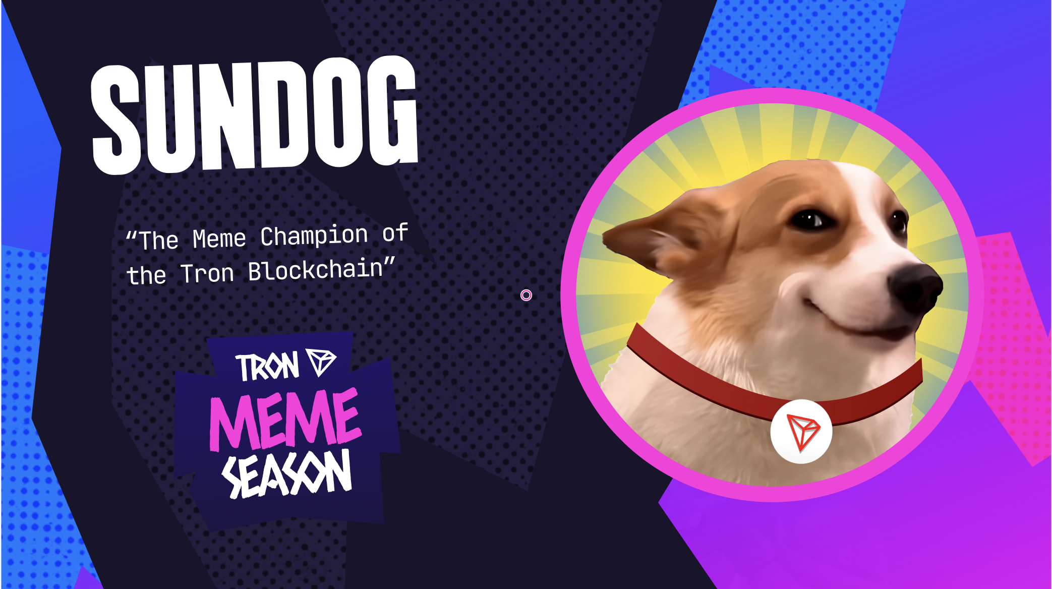 SunDog: The Meme Champion of the Tron Blockchain